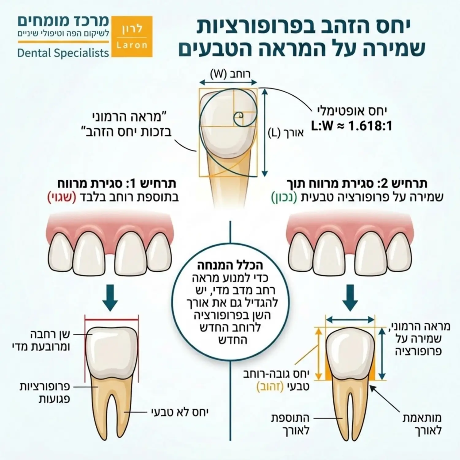 איור אנטומי מדעי של שיניים קדמיות המדגים את יחס הזהב. האיור מראה כיצד תוספת רוחב לשן כדי לסגור מרווח מחייבת לעיתים קרובות גם תוספת אורך יחסית, זאת כדי לשמור על הפרופורציה הטבעית ולמנוע מראה של שן רחבה ומרובעת מדי