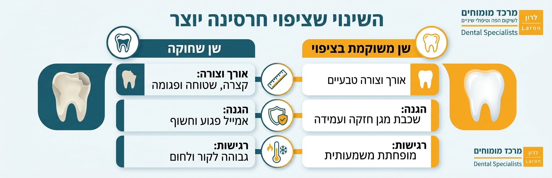 אינפוגרפיקה