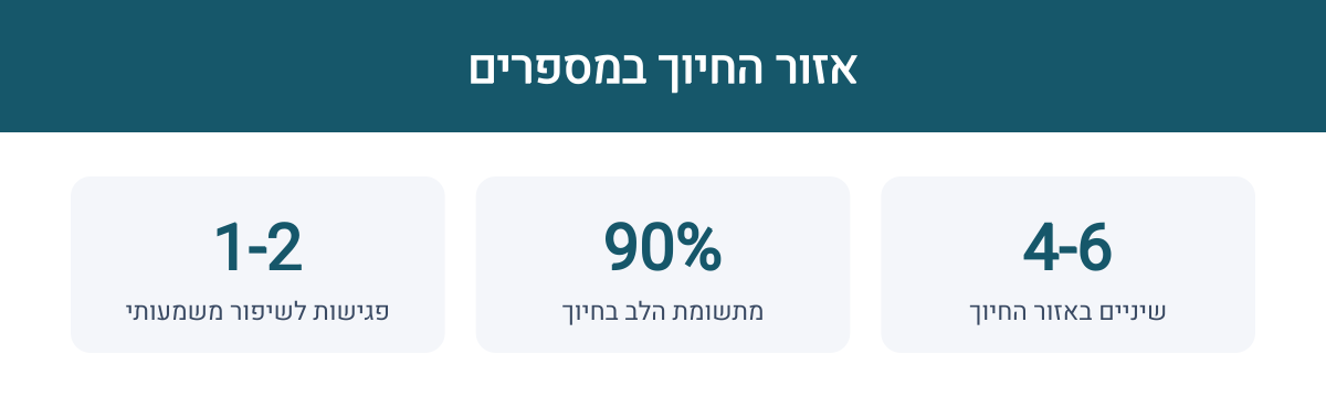 אינפוגרפיקה