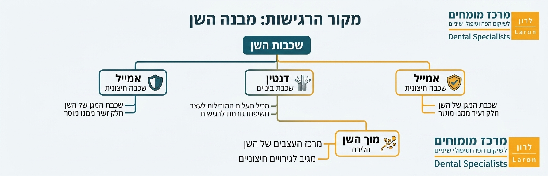 אינפוגרפיקה