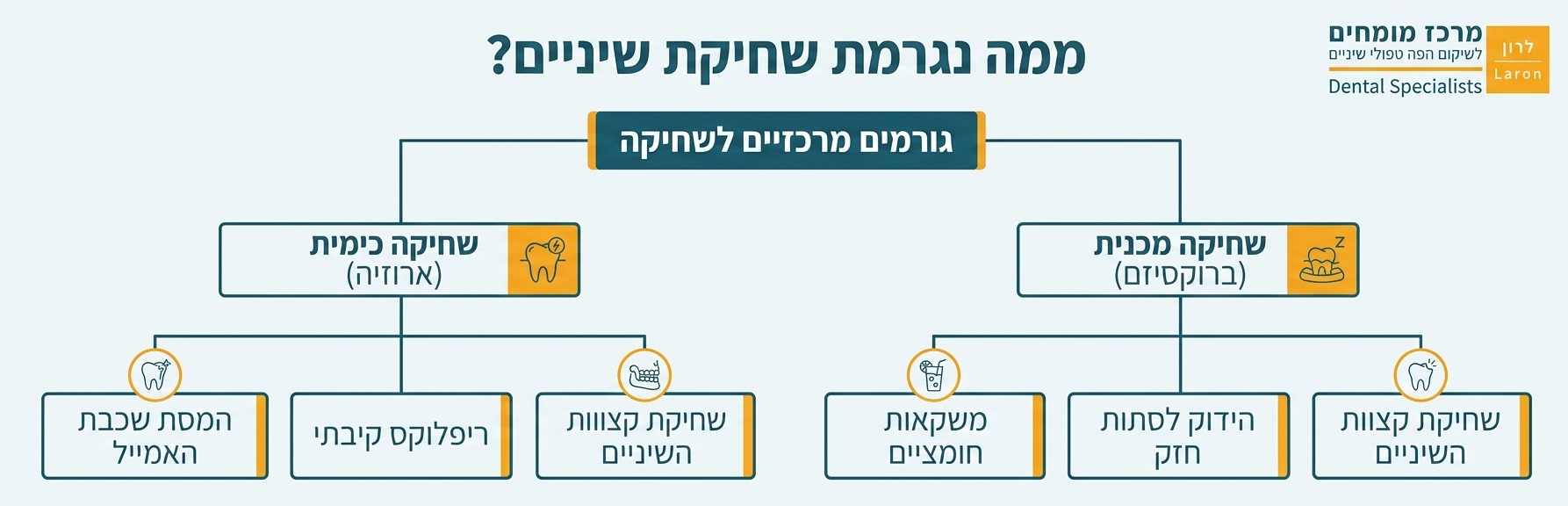 אינפוגרפיקה